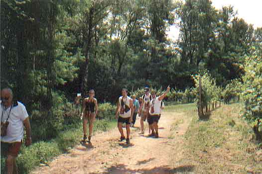 Camminando lungo i vigneti..